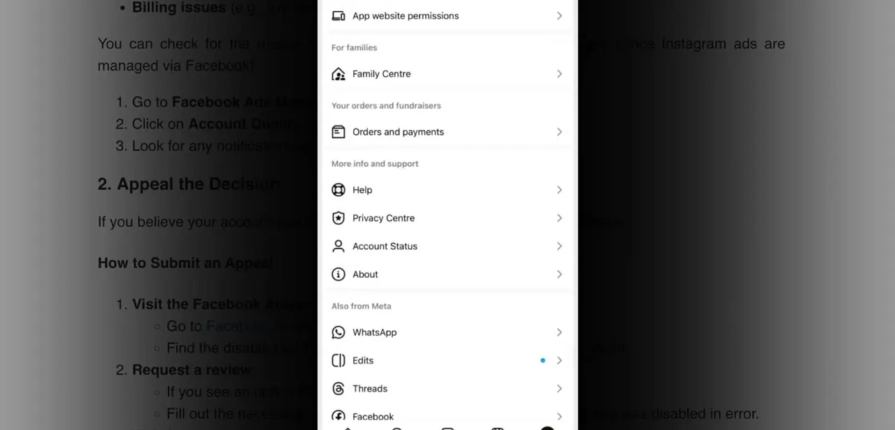 The Settings and Privacy menu in Instagram, with Account Status listed under More info and support.