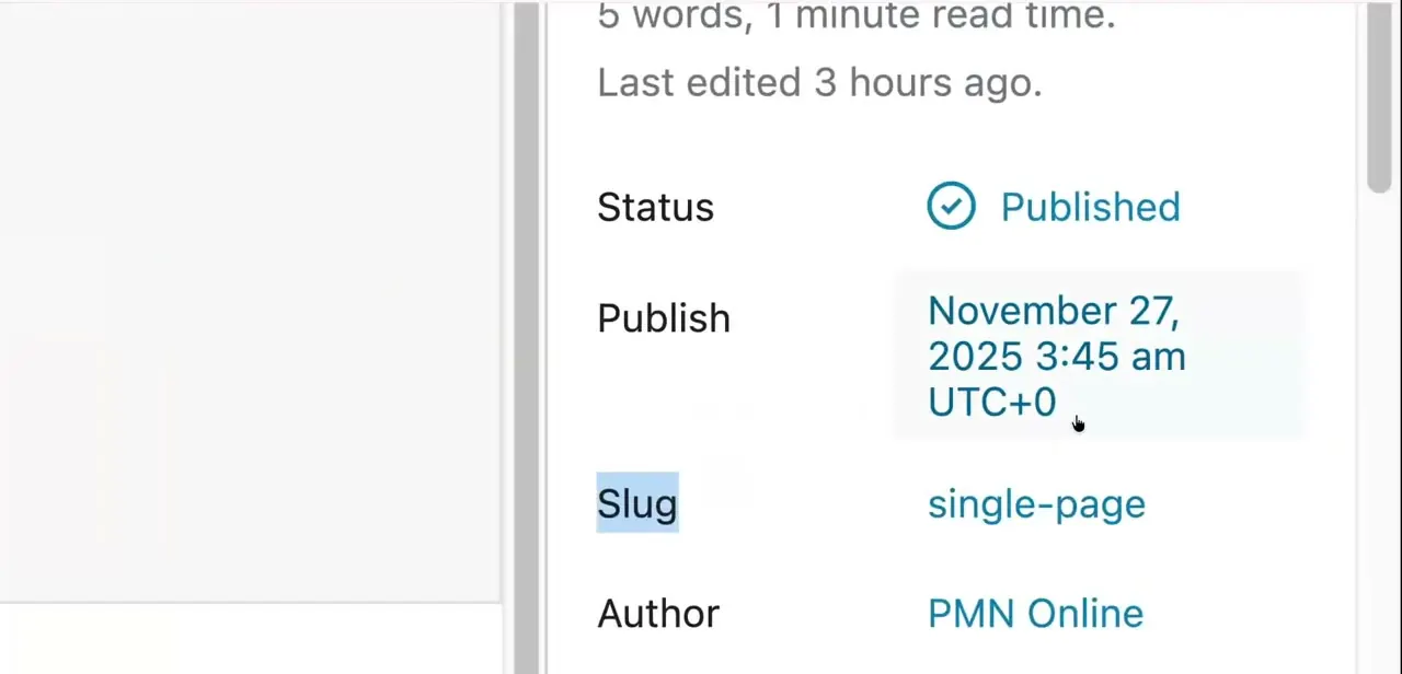 The page settings panel with the Slug field visible, currently set to the default "single-page."