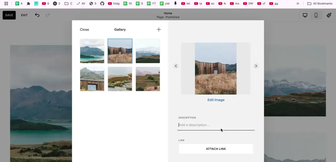 An individual gallery image selected, with its Description field and Attach Link option open on the right.