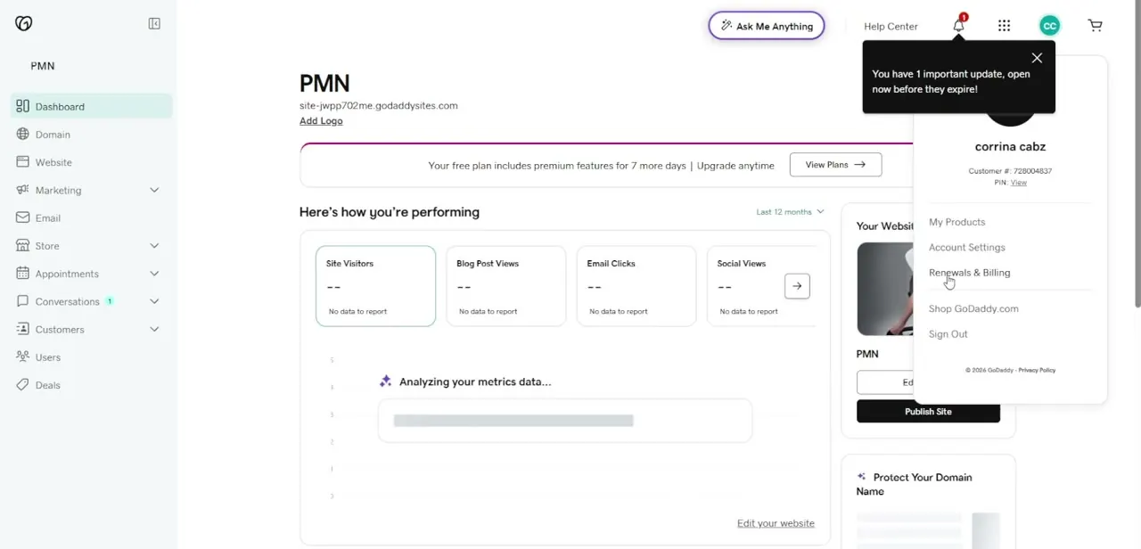 The GoDaddy account dashboard, with Domain and Website listed in the left sidebar alongside billing and account settings.