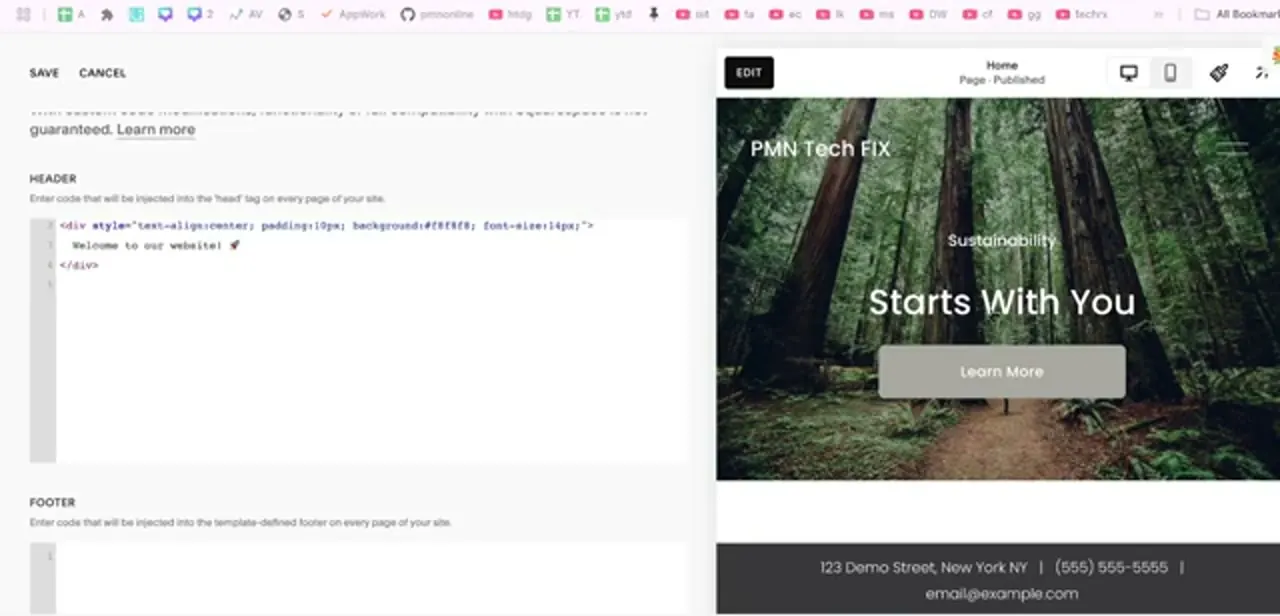A styled div pasted into the header field, which will render on every page of the site. SAVE and CANCEL sit at the top-left of the panel.