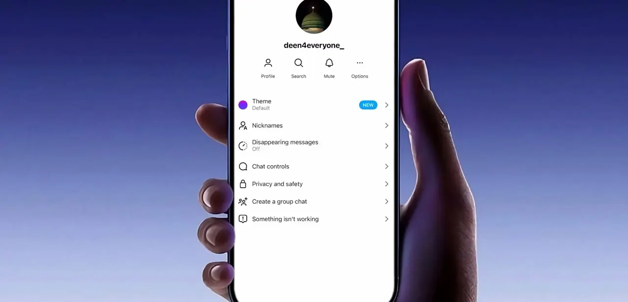The conversation's options menu, including Privacy and safety and a "Something isn't working" option for reporting chat issues.