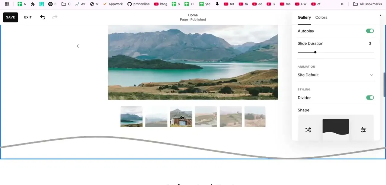 Autoplay on with Slide Duration at 3, and the Divider toggle with its shape presets further down the same panel.
