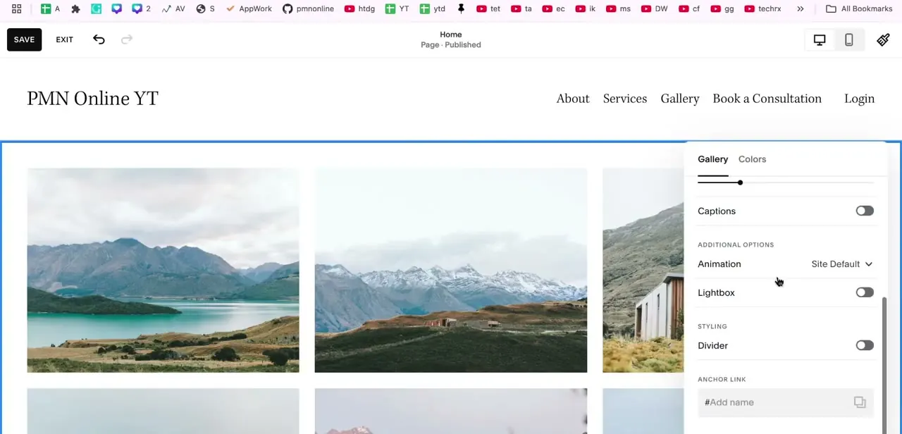 The Gallery settings panel, with toggles for Captions, Lightbox, and Divider, plus an Animation dropdown and an anchor link field.