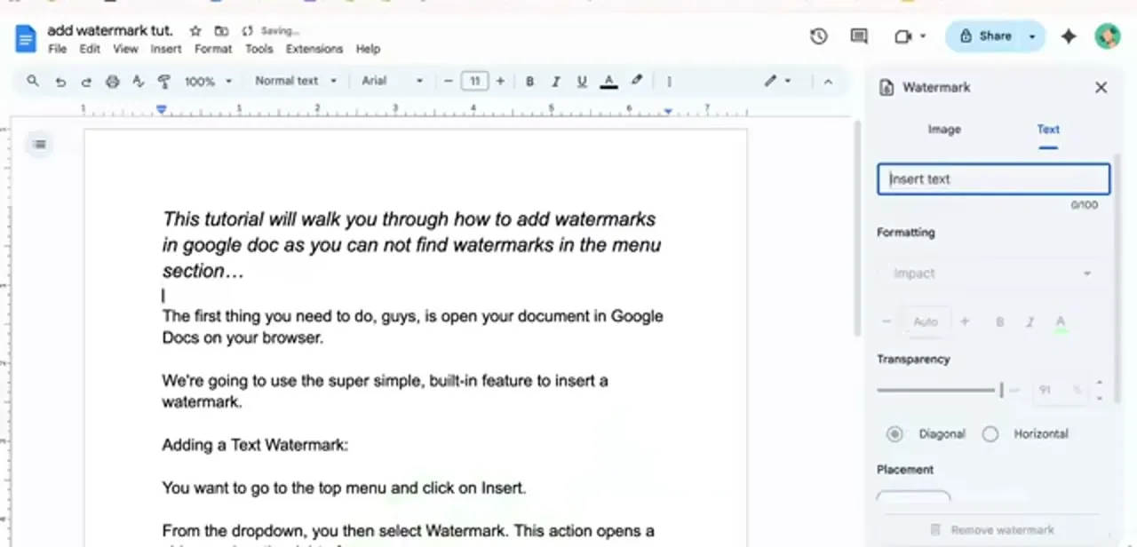 The Watermark panel with its Image and Text tabs, an empty Insert text field, and controls for formatting, transparency, and diagonal or horizontal placement.