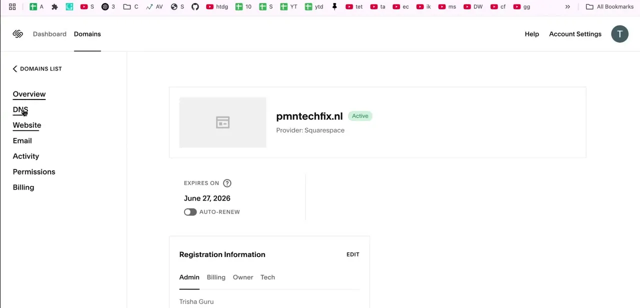 The Squarespace Domains panel for a single domain with DNS selected in the side panel, where Google's records get added.