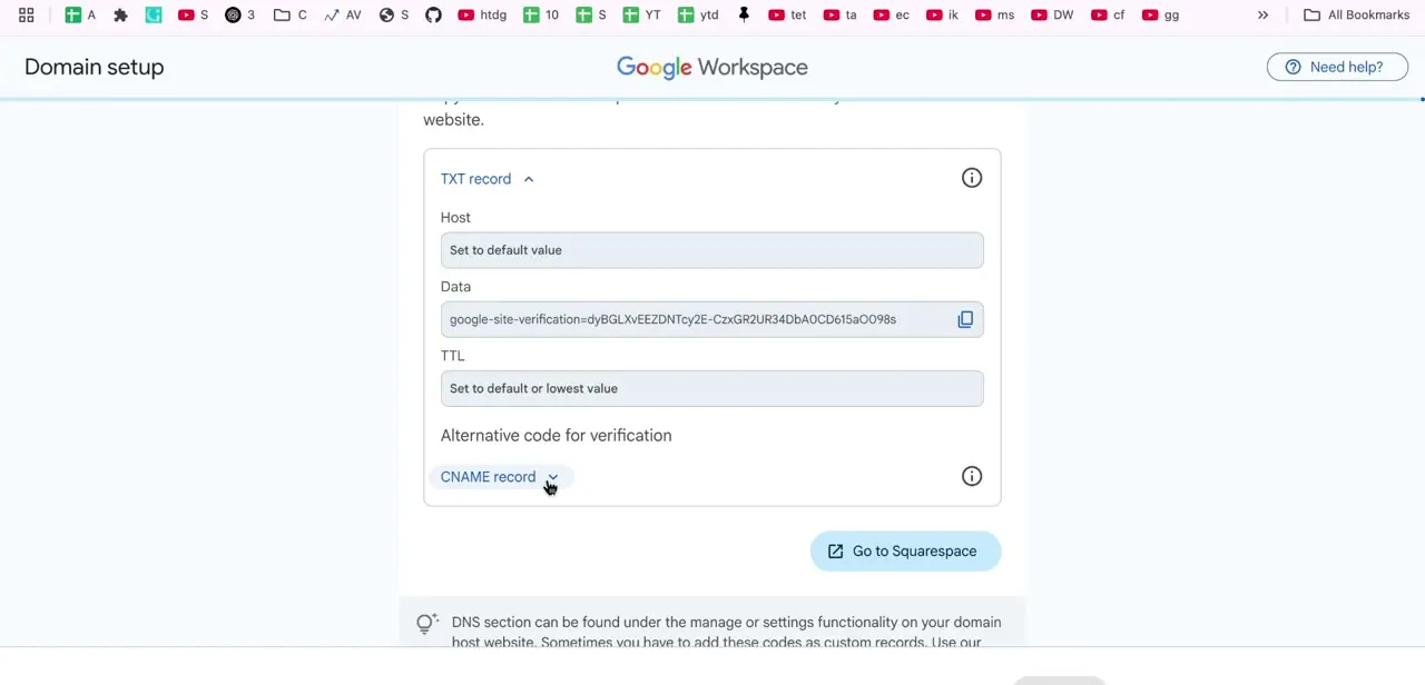 The TXT record details for domain verification, showing Host, Data and TTL fields alongside the CNAME alternative.