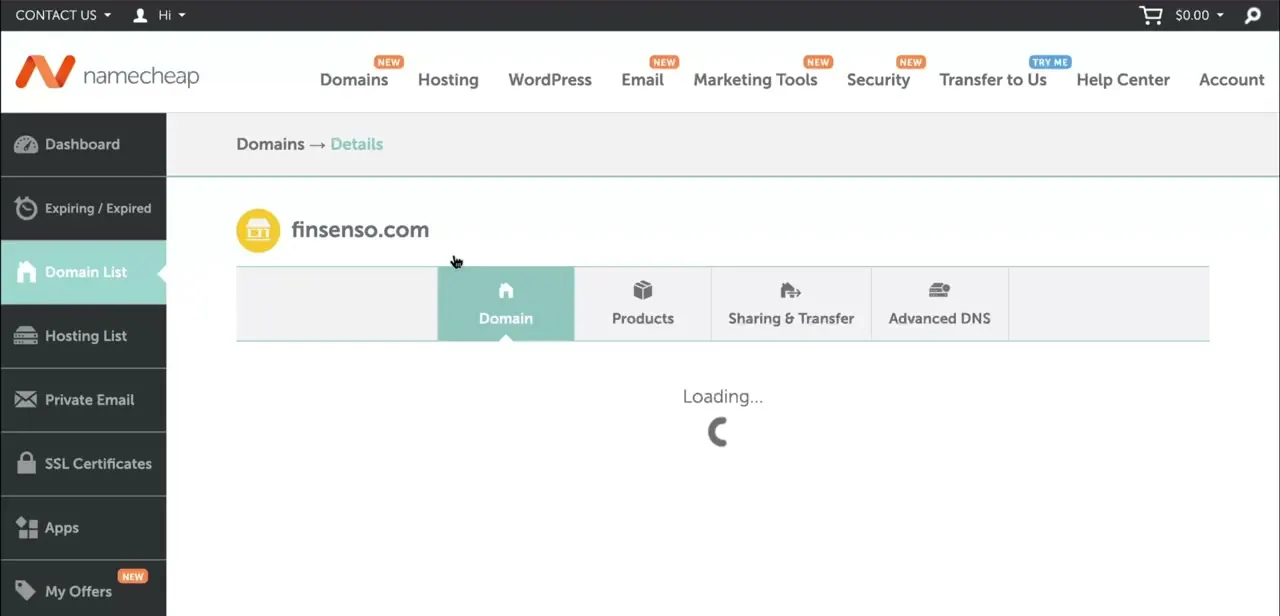A domain's detail page in Namecheap with the tab bar visible — Advanced DNS is the tab that leads to host records.