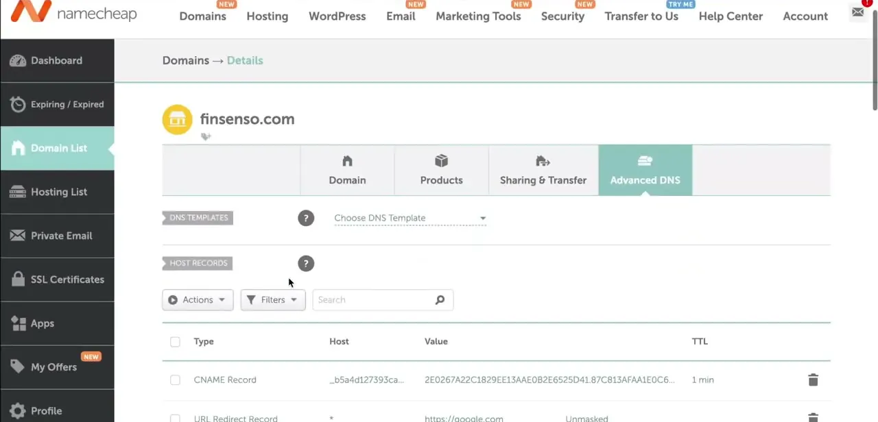 The Host Records table under Advanced DNS, listing a domain's current CNAME and URL Redirect records with their type, host, value, and TTL.