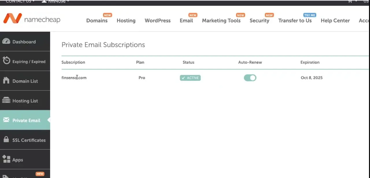 The Private Email Subscriptions list, showing the domain's plan, active status, auto-renew toggle, and expiration date.