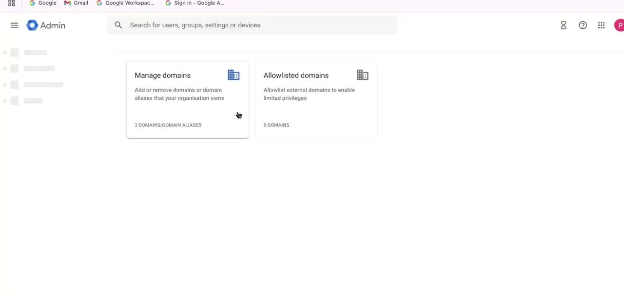 The Google Admin console's Manage domains screen, showing the verified domain alongside an Allowlisted domains panel for external access.