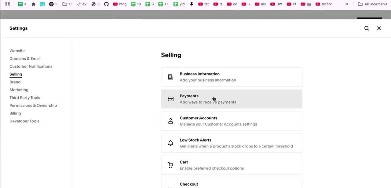 The Selling settings page, with Payments highlighted among Business Information, Customer Accounts, Low Stock Alerts, Cart, and Checkout.