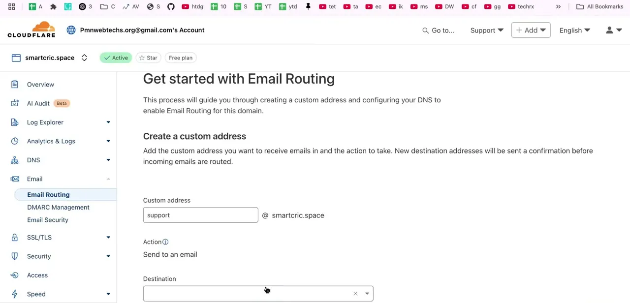 The custom address setup form — a name on your domain, an action set to "Send to an email," and a destination address field waiting for the real inbox.