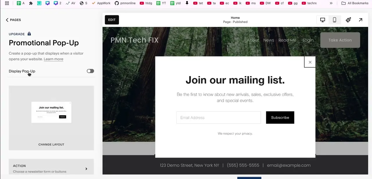 The Promotional Pop-Up panel with the Display Pop-Up toggle and a live preview of the default "Join our mailing list" popup.