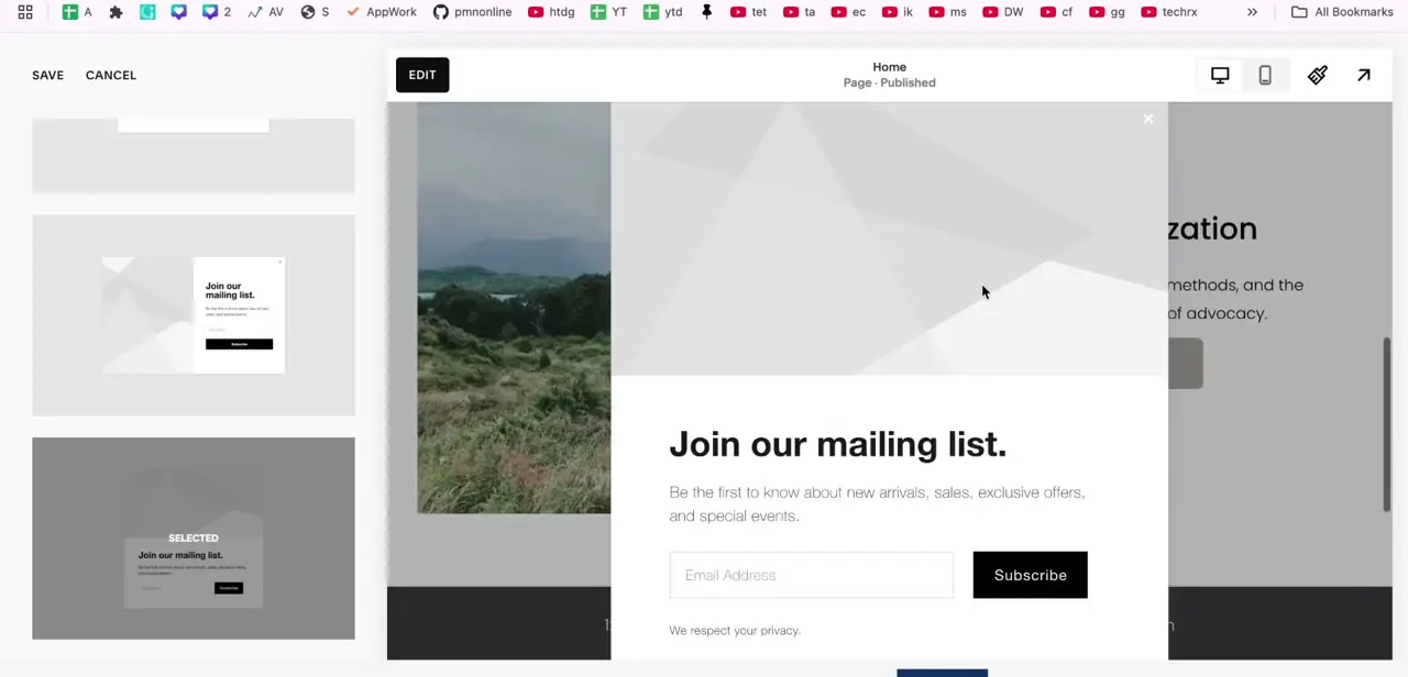 The layout picker, showing several popup styles as thumbnails with one marked Selected and previewed live on the page behind it.