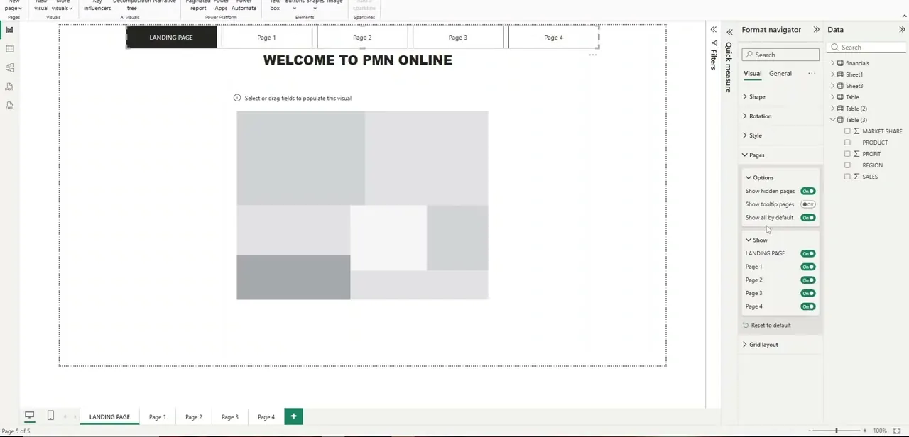 The Format pane's Pages section, with Show toggles for the landing page and each individual report page, controlling what appears in the navigation.