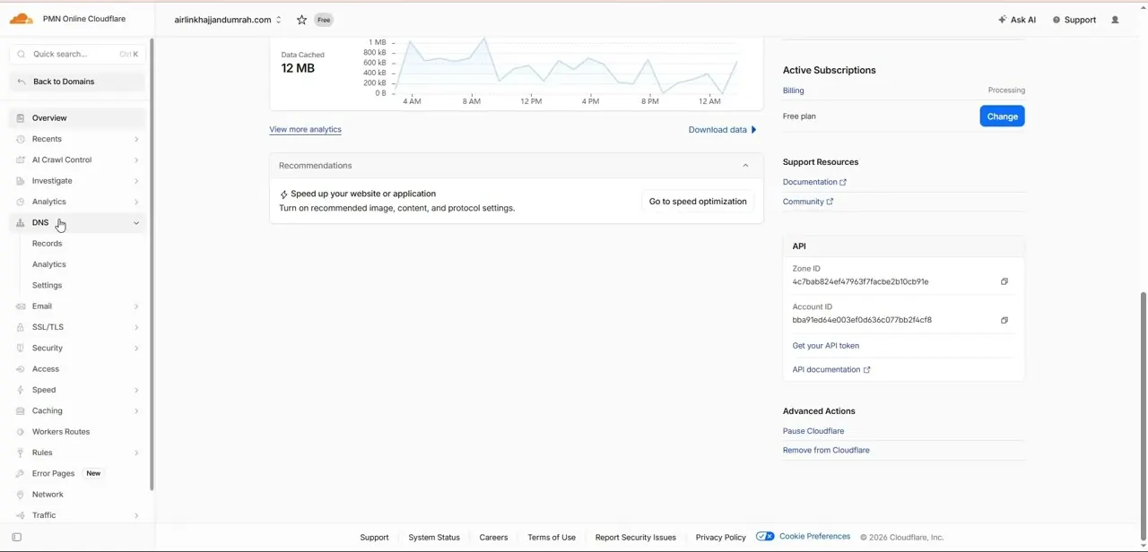 The DNS menu expanded in the sidebar to reveal Records, Analytics, and Settings, alongside the account's Active Subscriptions and API details.