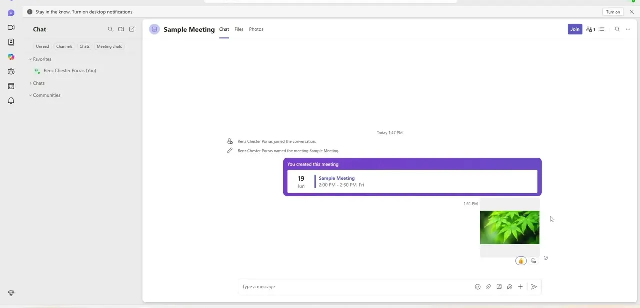 A shared image sent into the meeting chat, appearing as a timestamped card directly in the conversation.