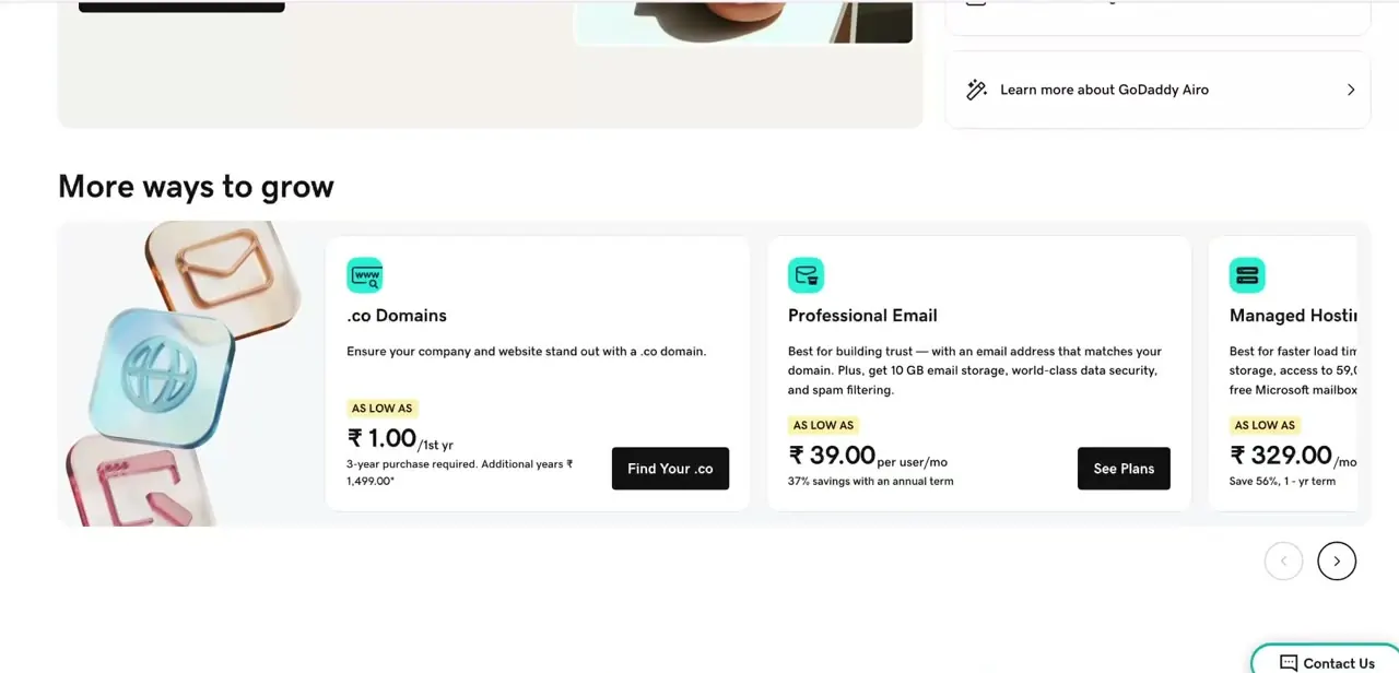 The Professional Email card on the GoDaddy dashboard, shown with its per-user monthly price and storage details.