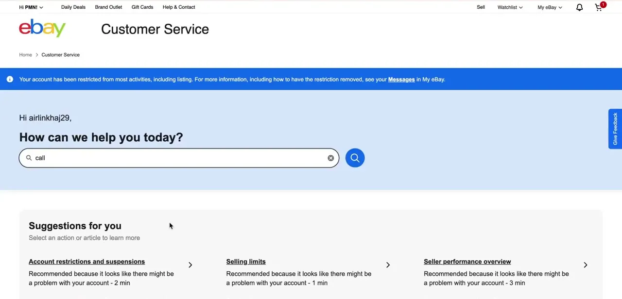 The Customer Service page after searching "call" — the same suggested-articles layout, now under an account status banner.