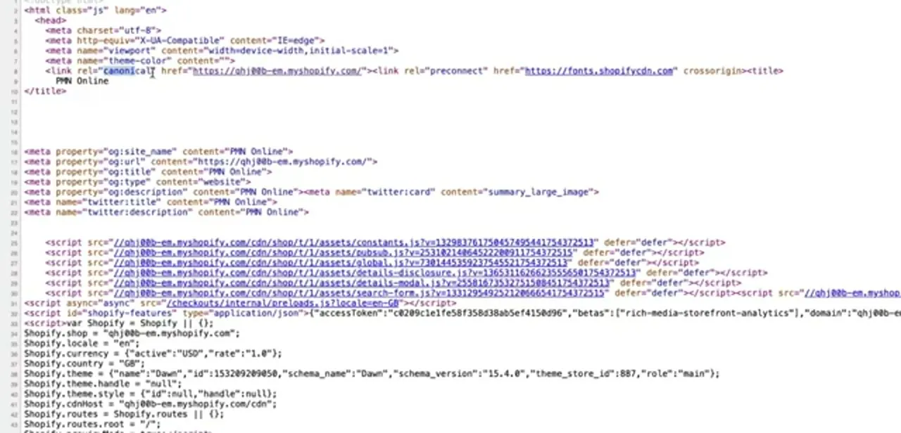 The rendered page source for a storefront page. The canonical link tag near the top of the head points to the store's primary URL for that content.